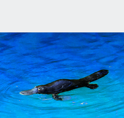 MGM-GRD-obenWEISS477-sna RZ ed