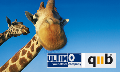 website-MAX-qmo-MID-389×236-GIRA-N